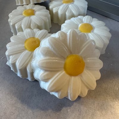 Chocolate Covered Oreos - Daisies 