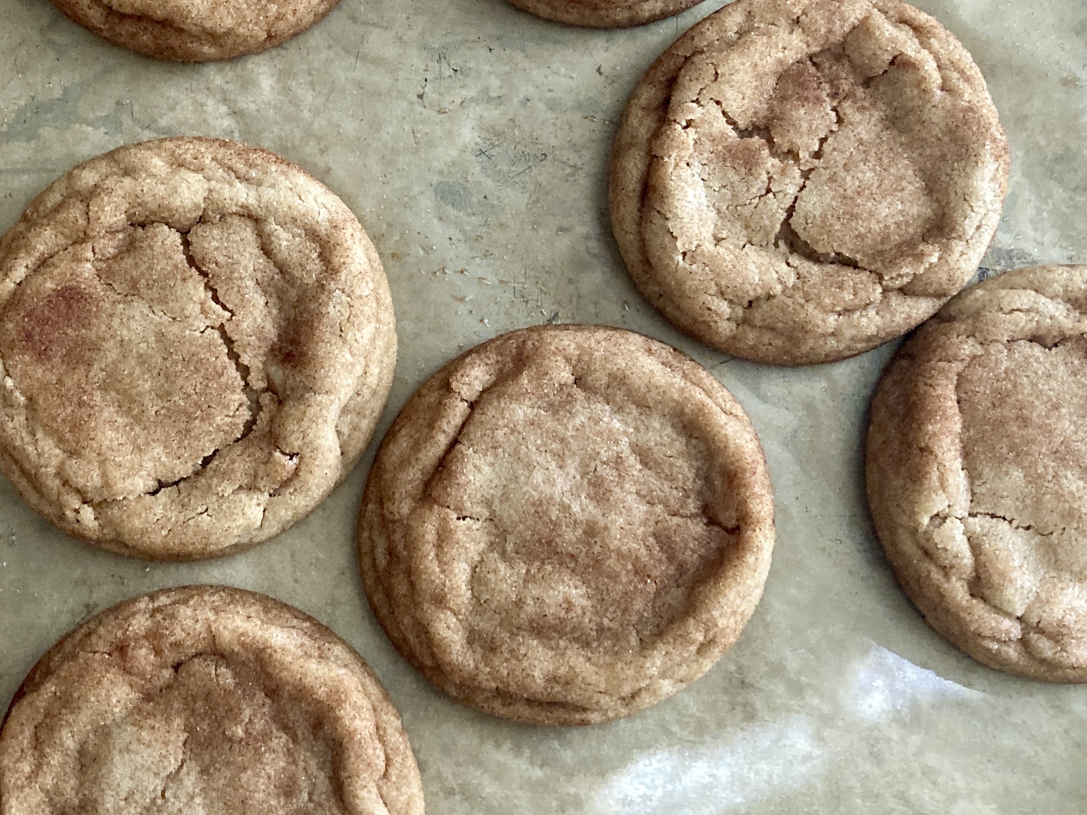 Snickerdoodle Cookies X4