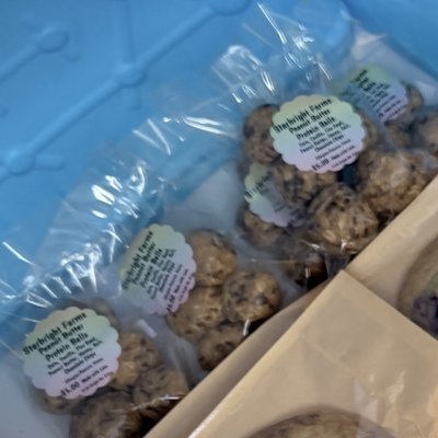 Protein Balls