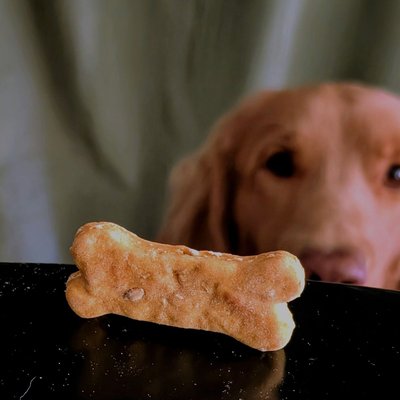 Scooby Doughs — 24 Treats