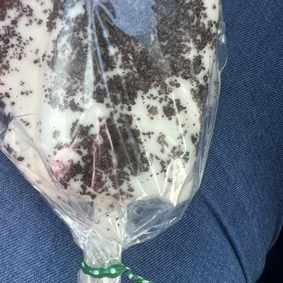 Chocolate Cakeciscles 
