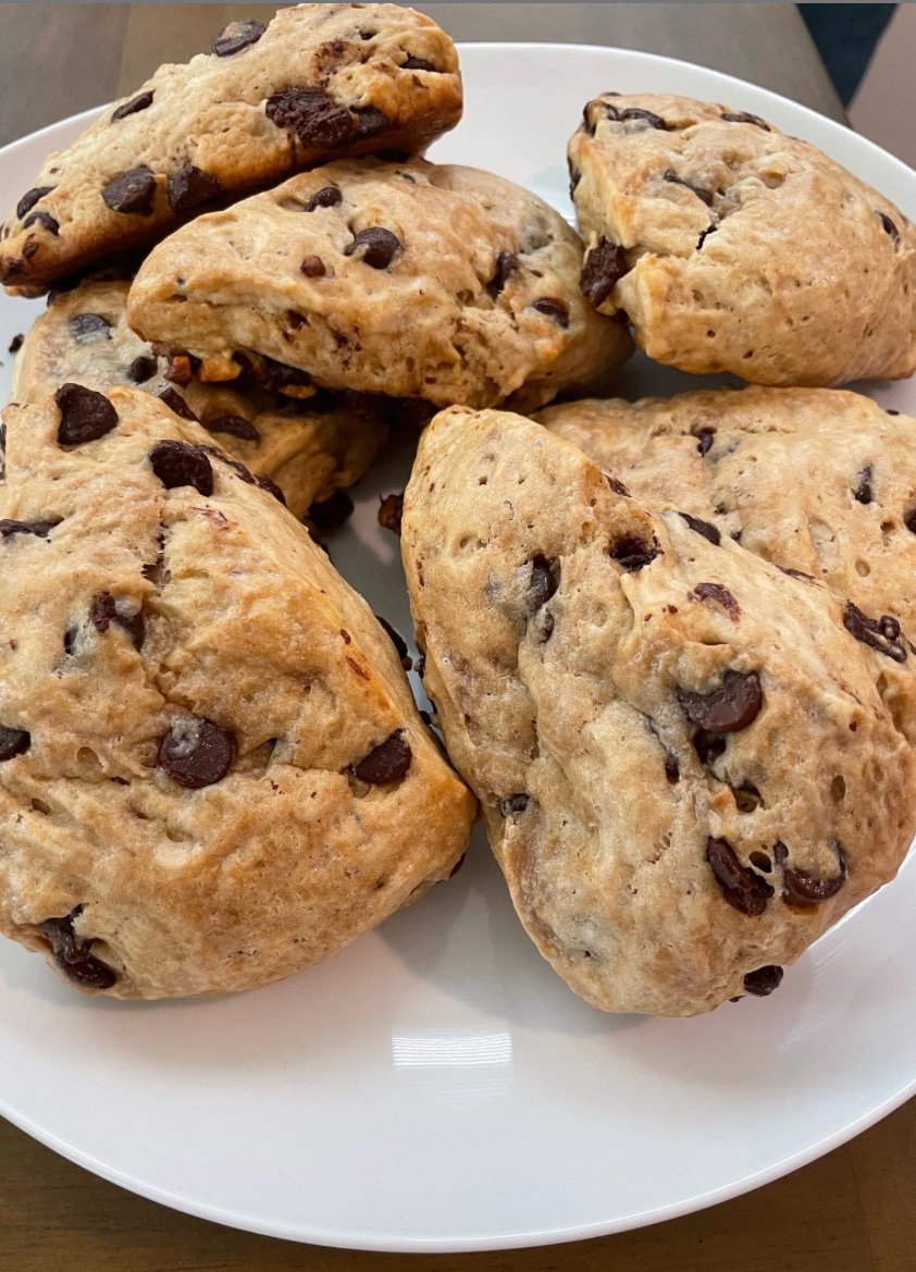Chocolate Scone (2 Count