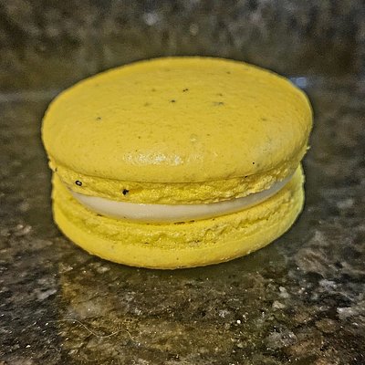 Lemon Poppyseed (12ct)