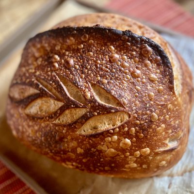 San Francisco Style Sourdough (24 oz) 三藩市酸种欧包