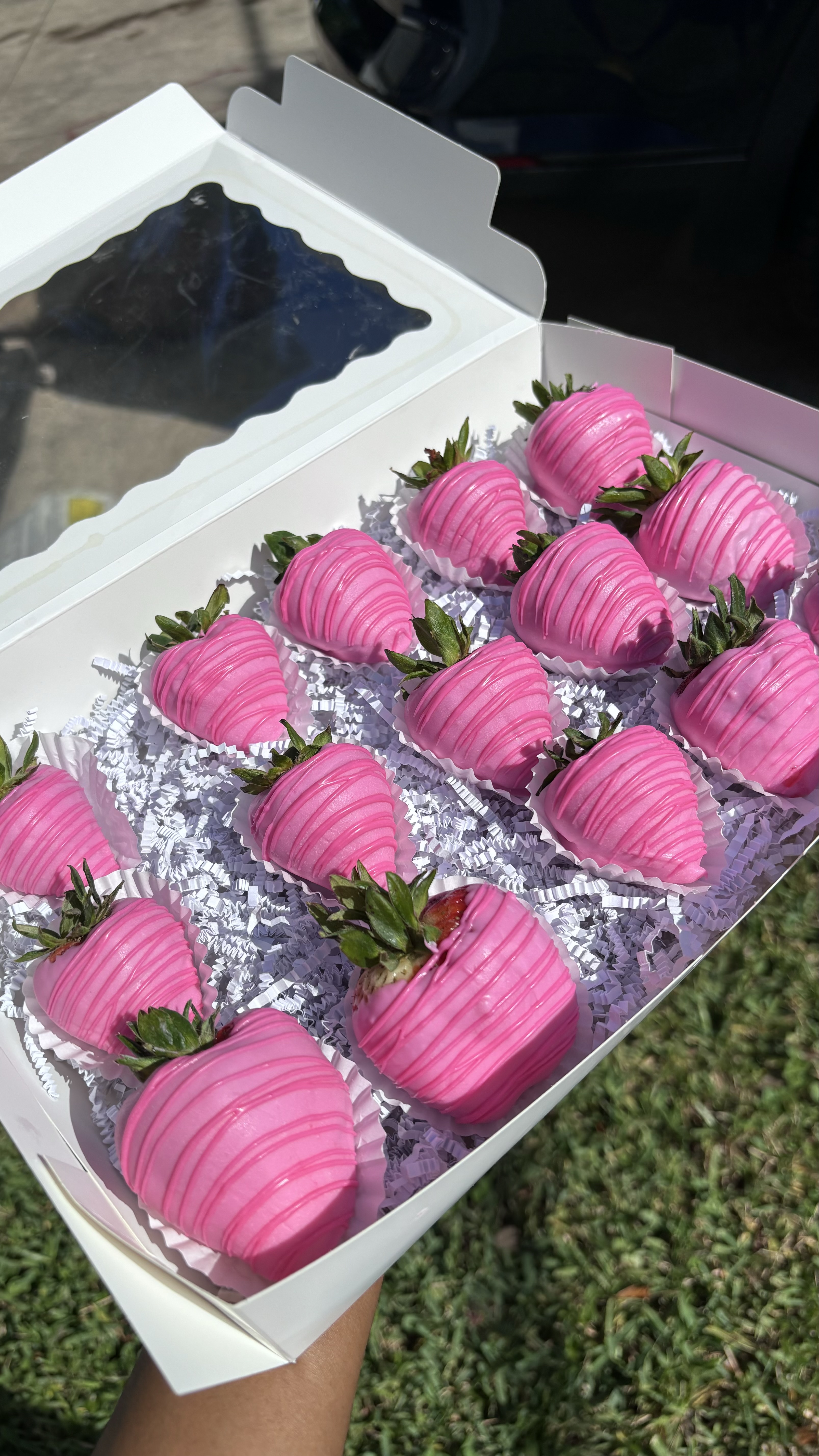 Treat Box(12 strawberries & 6 pretzels)