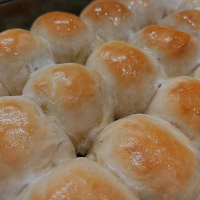 Yeast Dinner Rolls