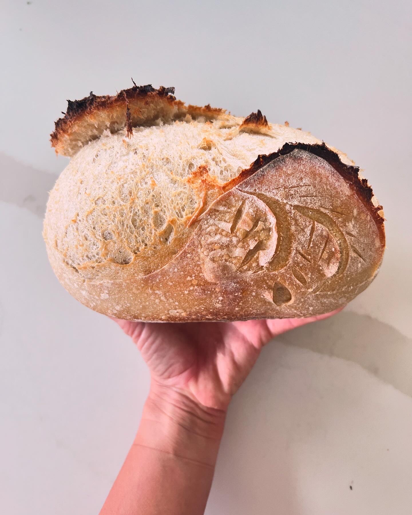 Organic Sourdough *Homestyle Original*