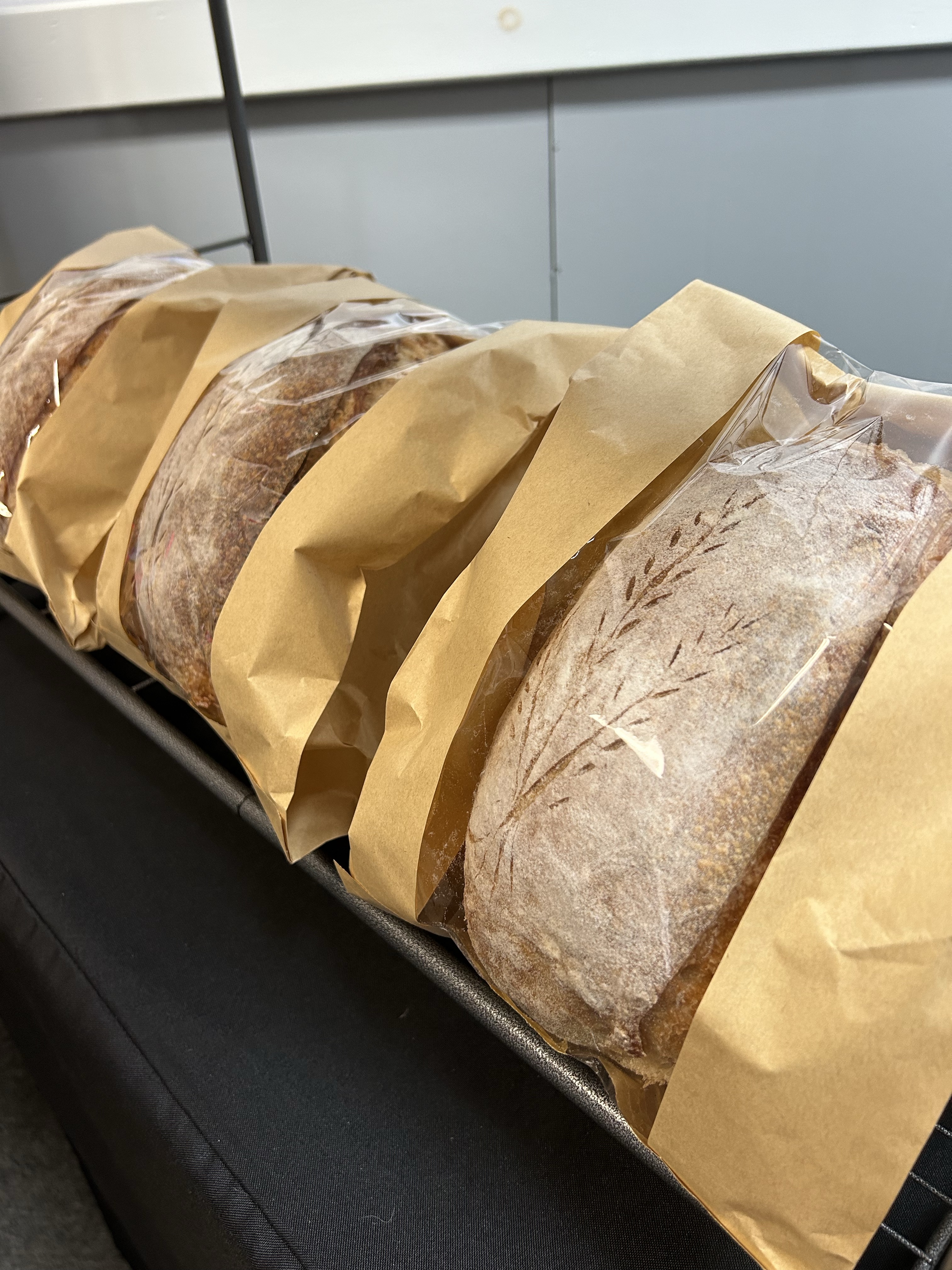Sourdough Bread