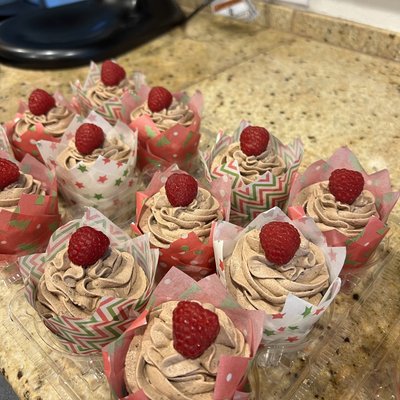 Chocolate Raspberry Cupcake