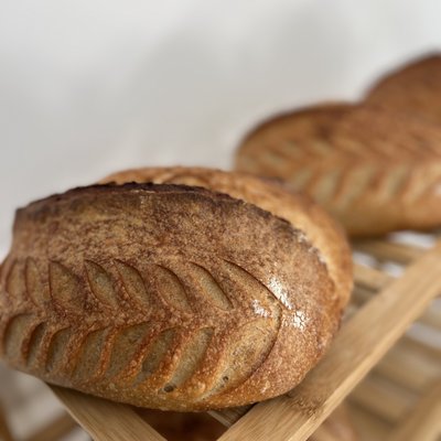 Classic G. Sourdough
