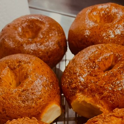 Plain Bagels 