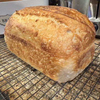 Sourdough Loaf