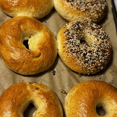 New York Style Bagels