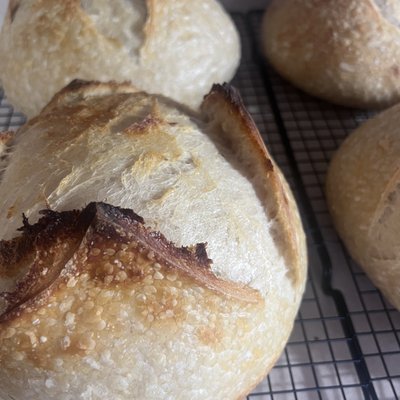 Sourdough