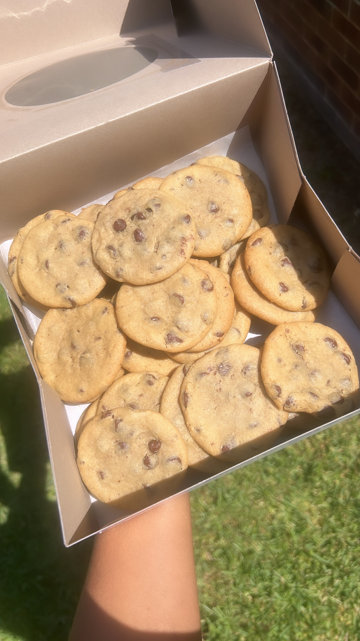 Chocolate Chip Cookies