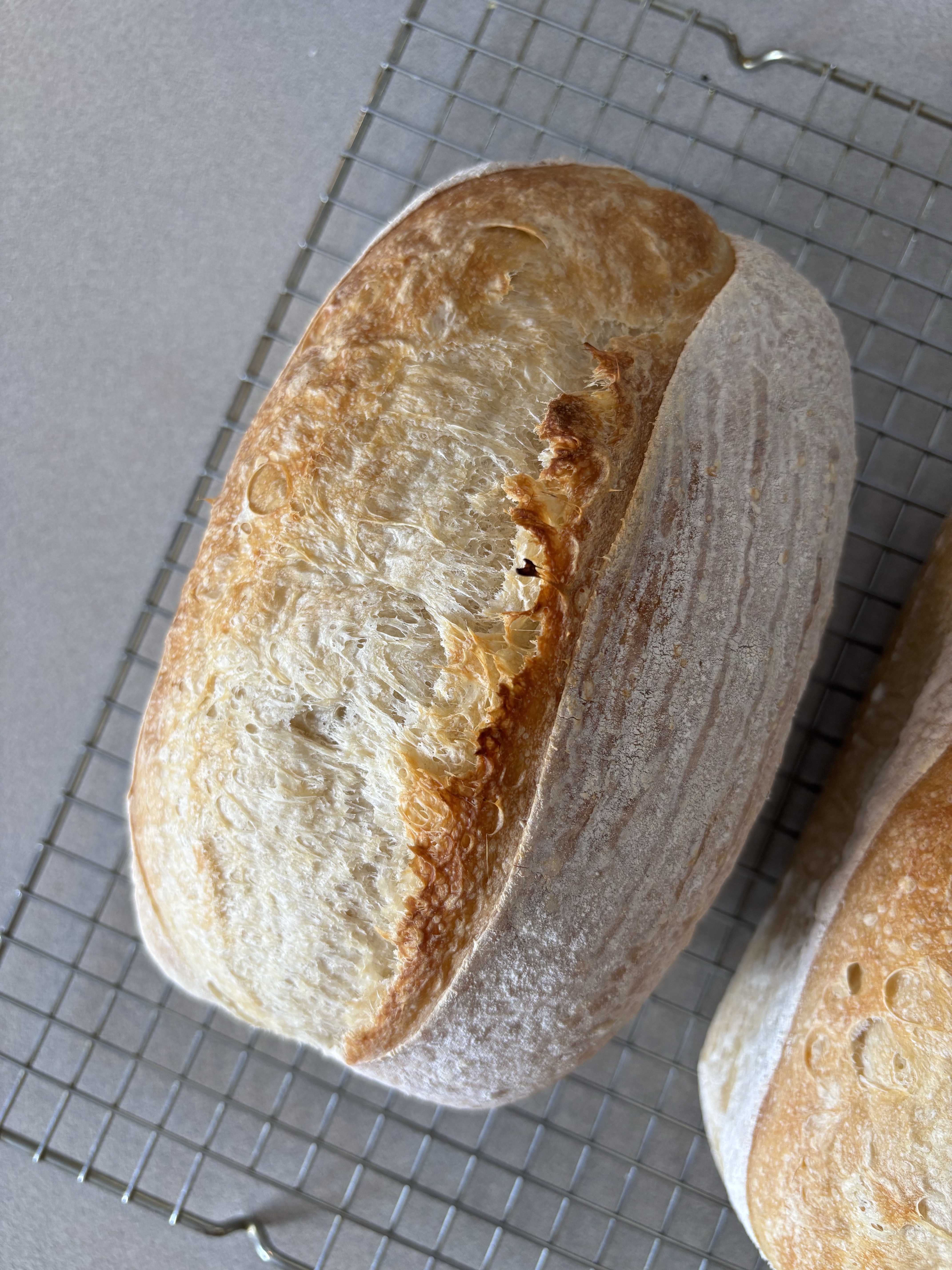 Classic Sourdough Bread