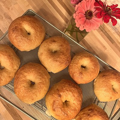 8 Plain Bagels