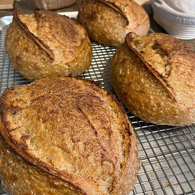 Rosemary Parmesan Round Loaf