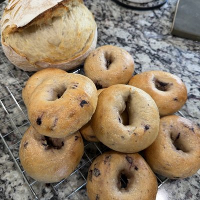 Blueberry Bagels 