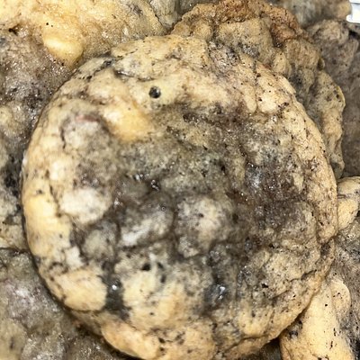 12 Cookies and cream - FULL SIZED 