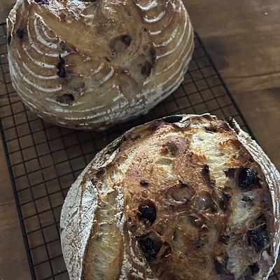 Cranberry Walnut Sourdough Boule
