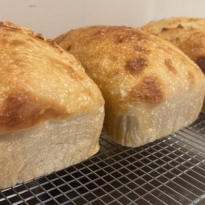 Sourdough Artisan Bread