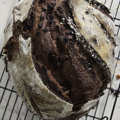 Double Chocolate Chip