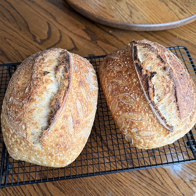 Classic Sourdough Loaf