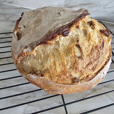Crazy Canadian (Maple Pecan)