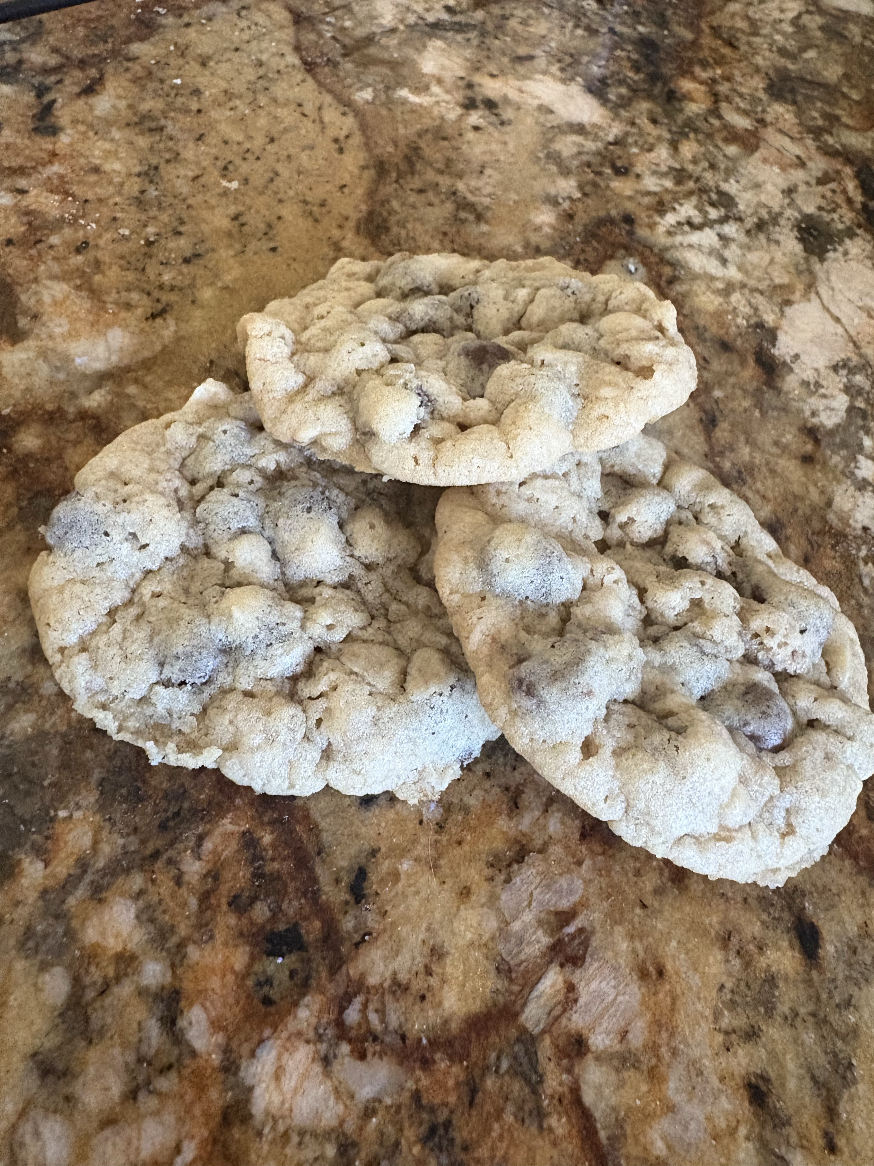Sourdough Chocolate Chip Oatmeal Cookies
