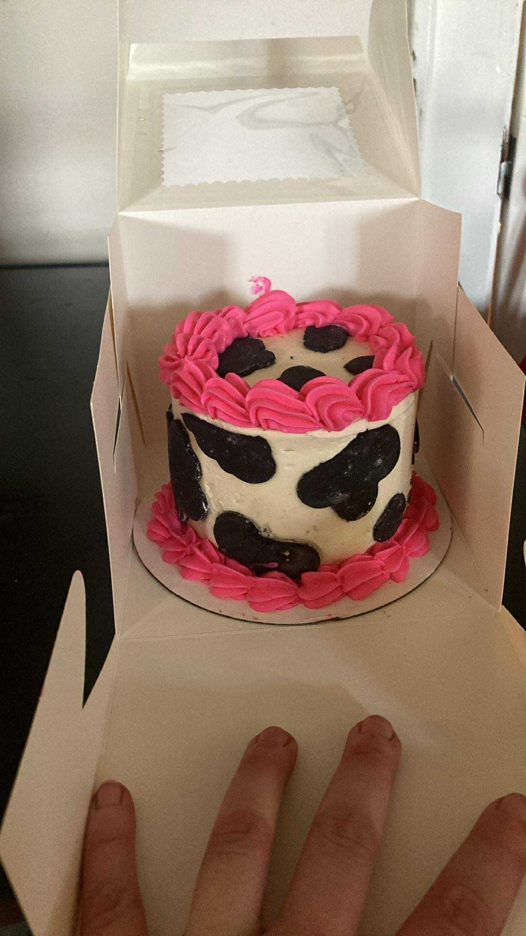 Smash Cake 2 Layer 4 Inch Cake 
