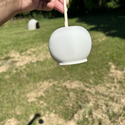 Candied Apples 🍏 