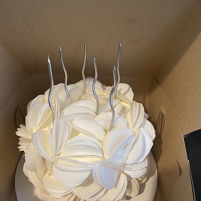 Cake Tren 6 Inch Wafer Paper Petals