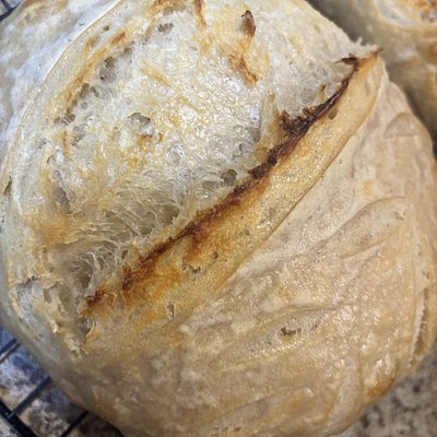 Plain Artisan Sourdough Loaf
