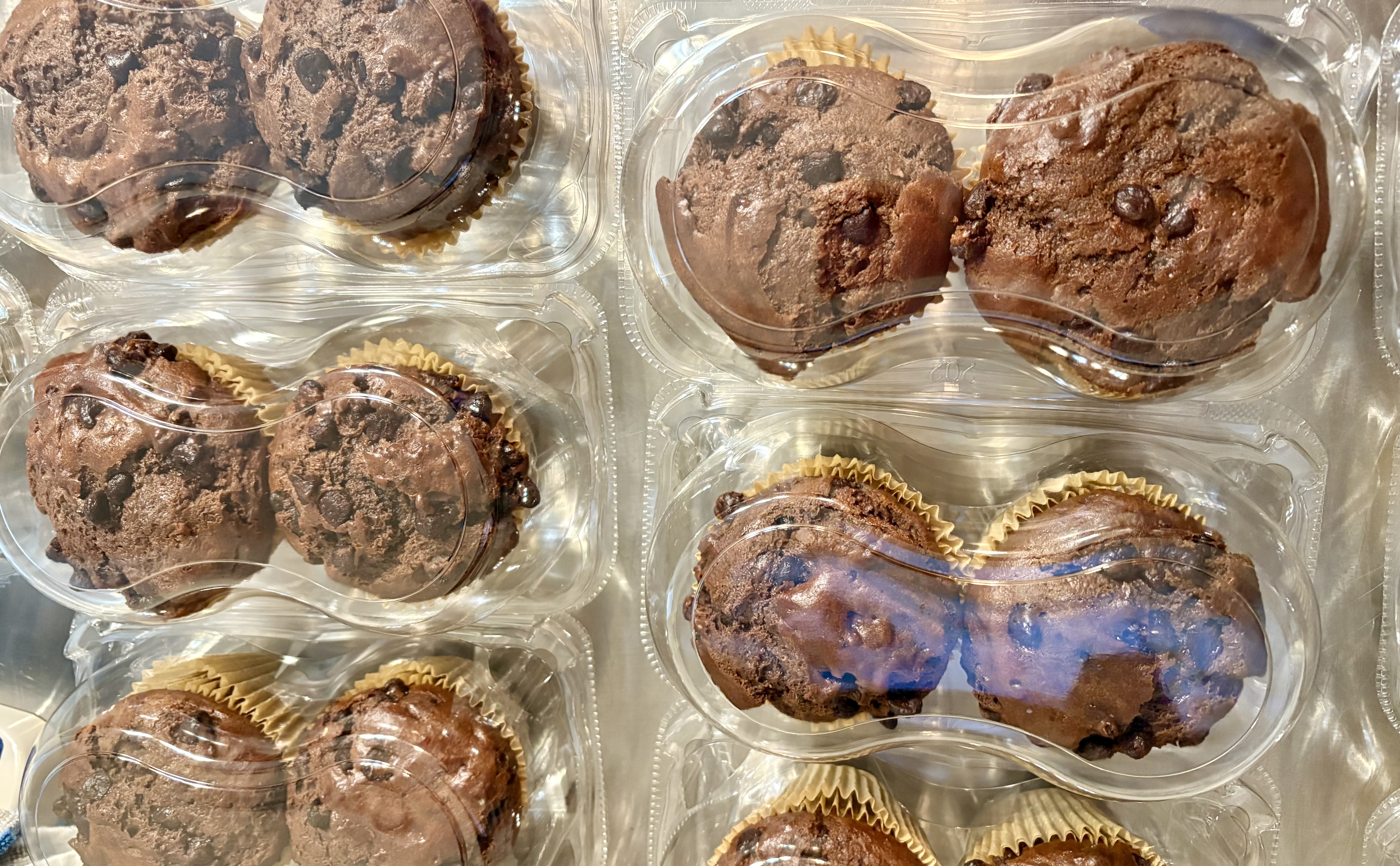 Sourdough Double Chocolate Chocolate Chip Muffins
