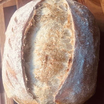 Garlic & Herb Sourdough 