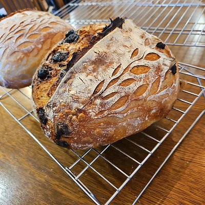 Chocolate Chip Sourdough Loaf 