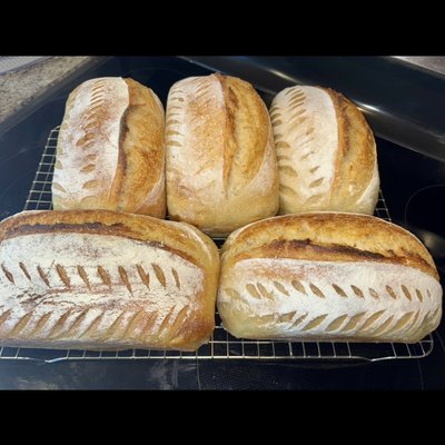 Plain Sourdough Loaf