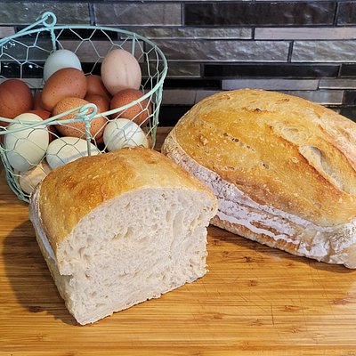Plain Sourdough 
