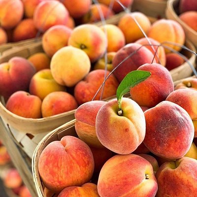 Basket Of Peaches
