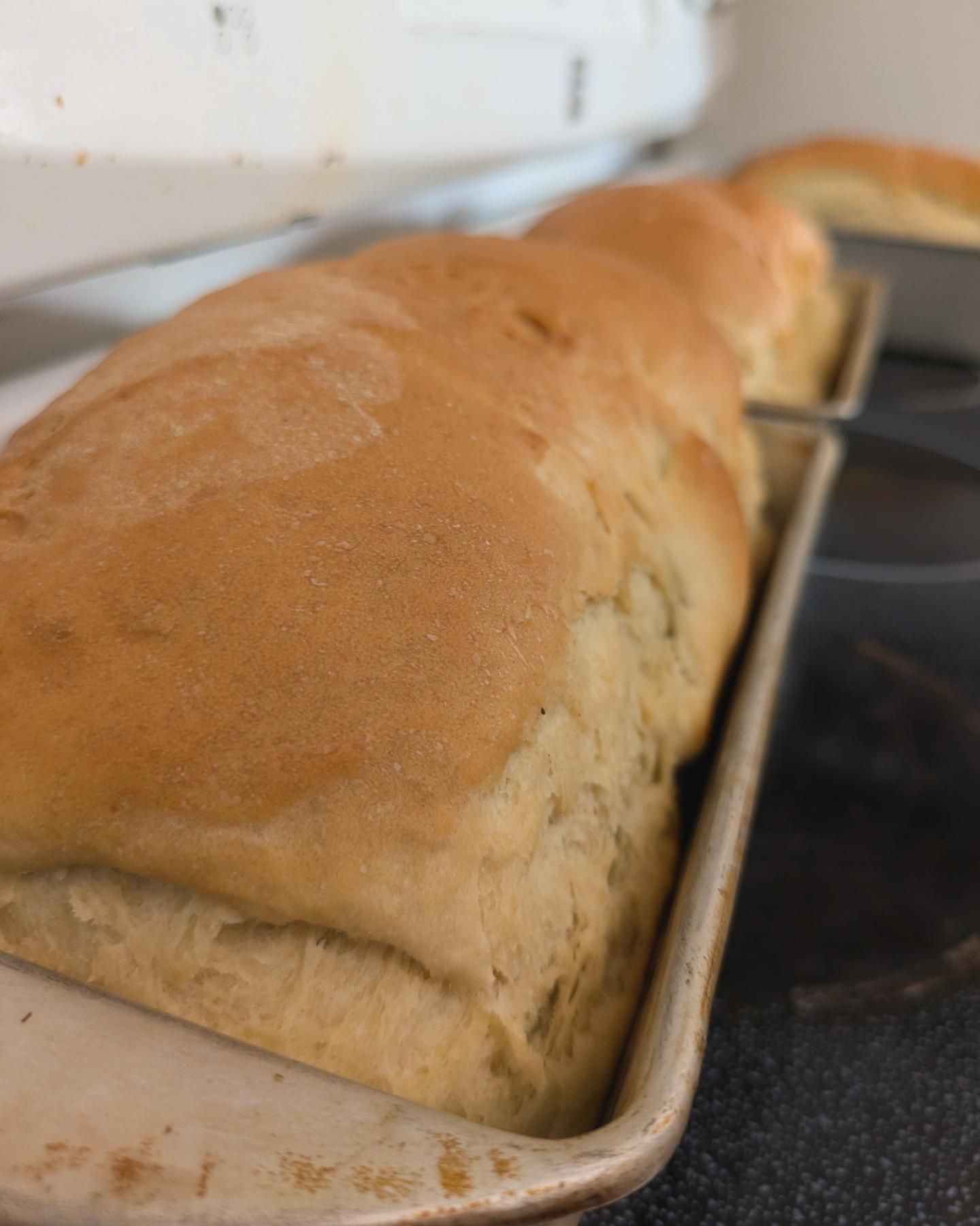 Loaf