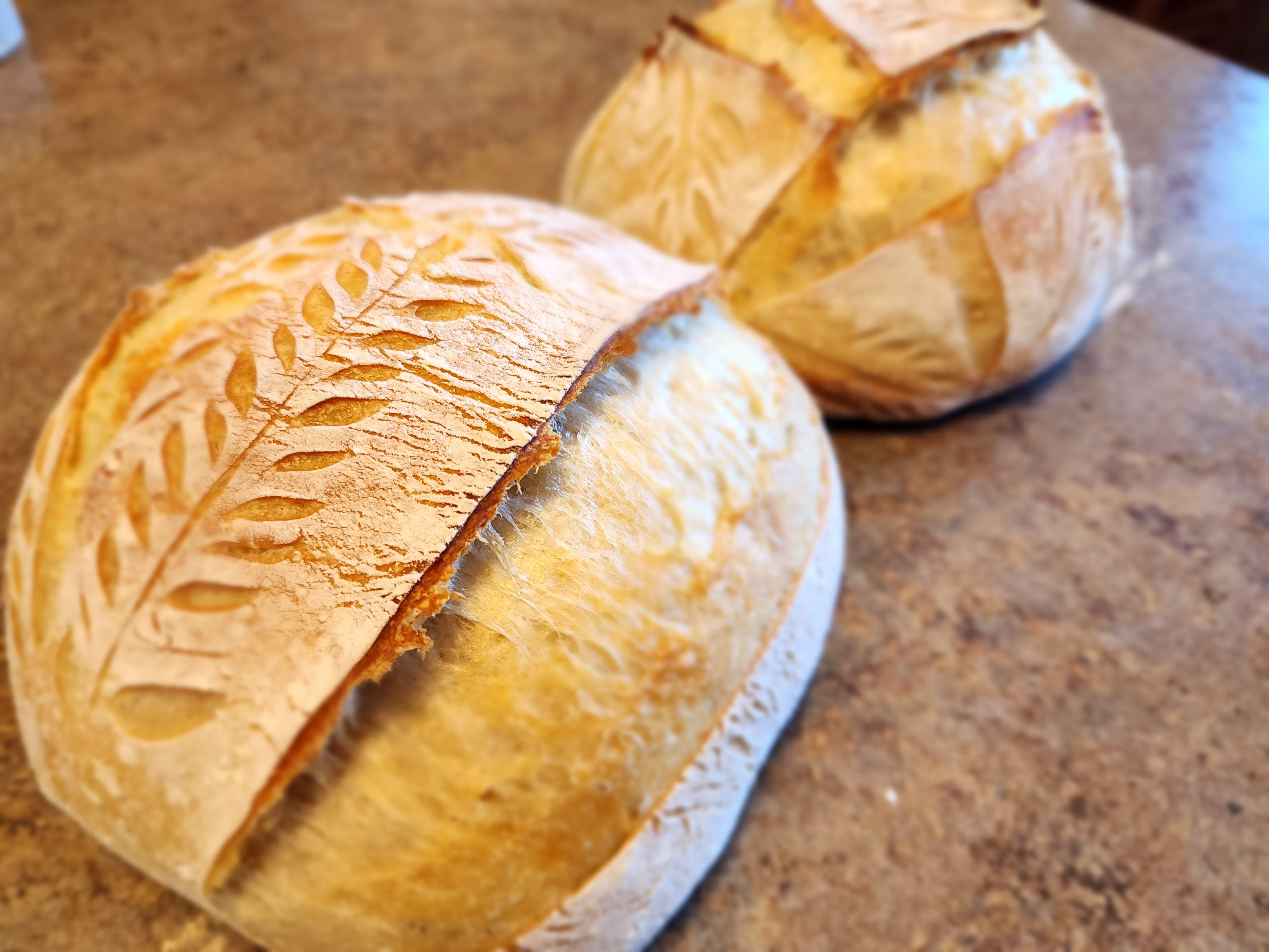 Sourdough Loaf
