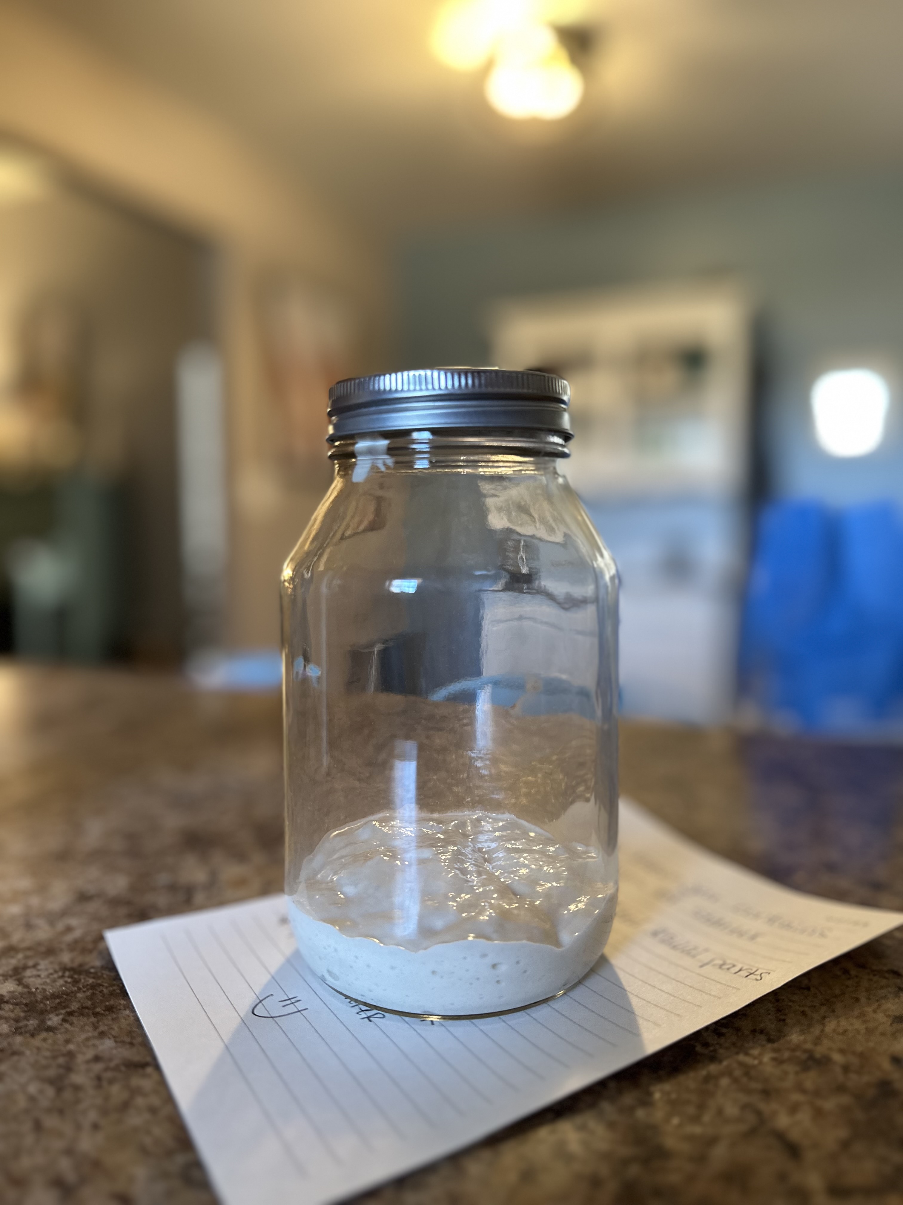 Live Sourdough Starter (with digital info sheets)