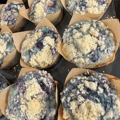 Blueberry Muffins (6)