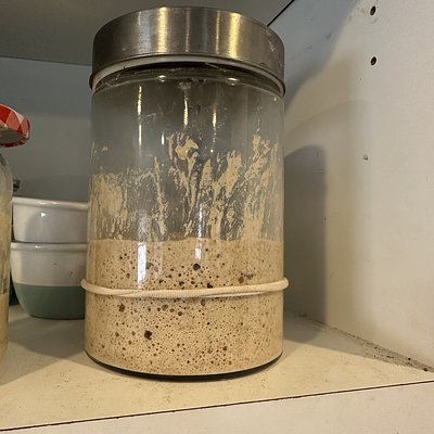 Organic Sourdough Starter 25g
