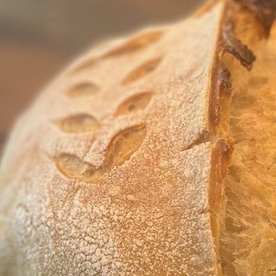 Artisan Sourdough Loaf