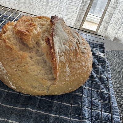 Plain Sourdough 