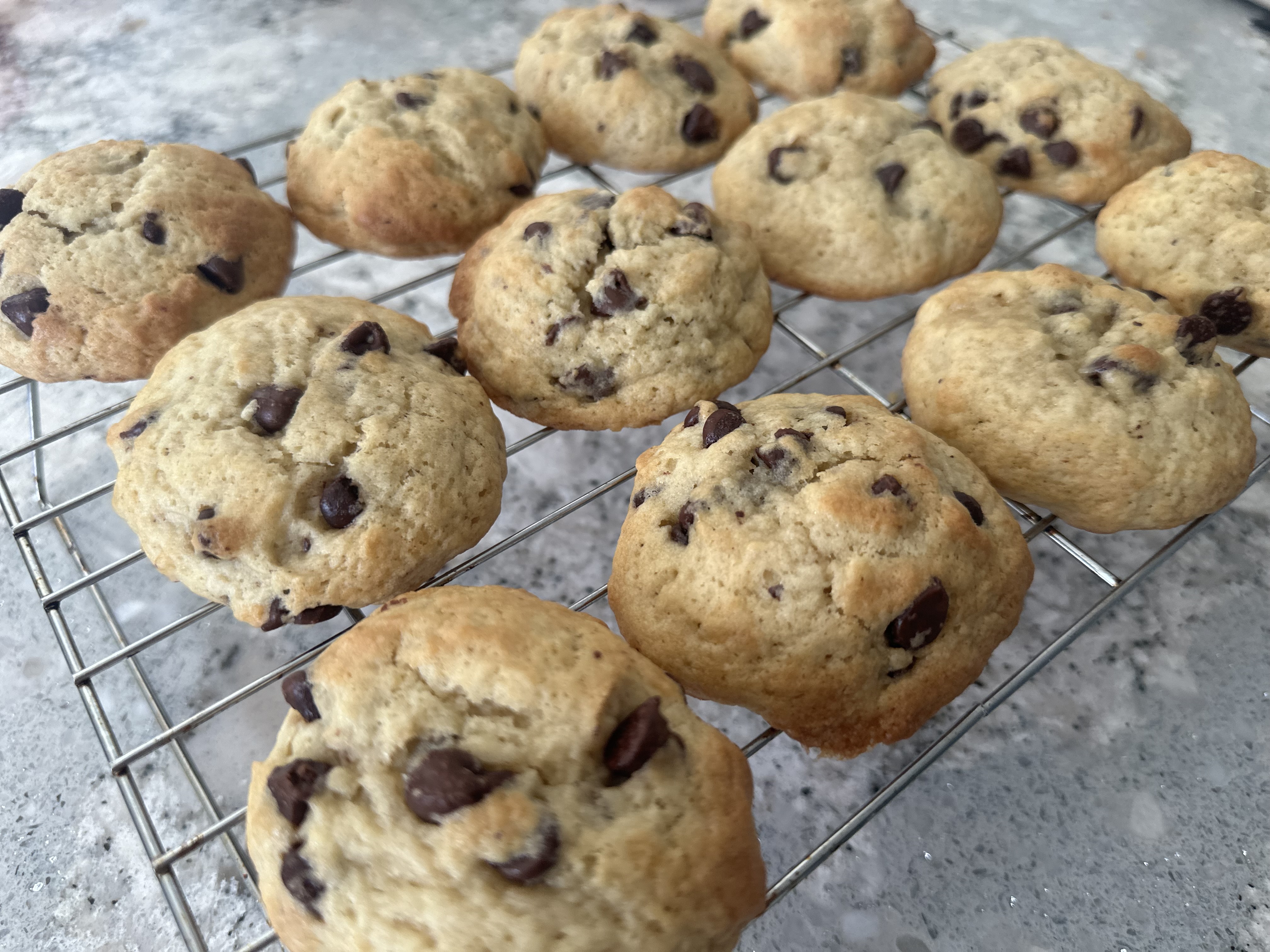1 Dozen Chocolate Chip Cookies