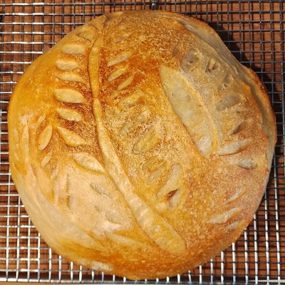 Sourdough