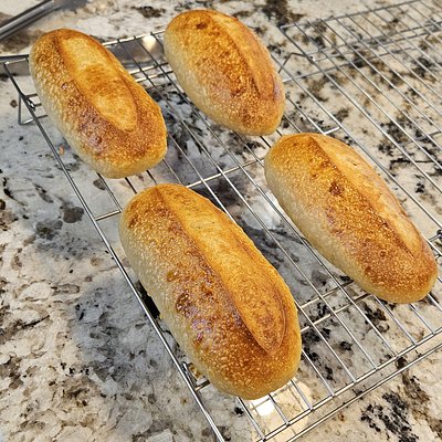 Sourdough Hoagie Rolls (4)